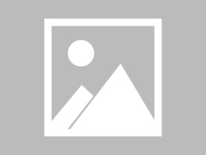 兄弟科技，预订服务的创新解决方案，深度合作与用户价值提升